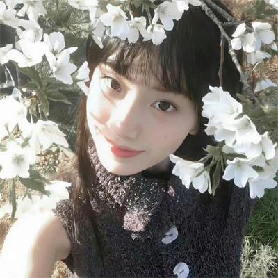 伟大的中国蚕豆
